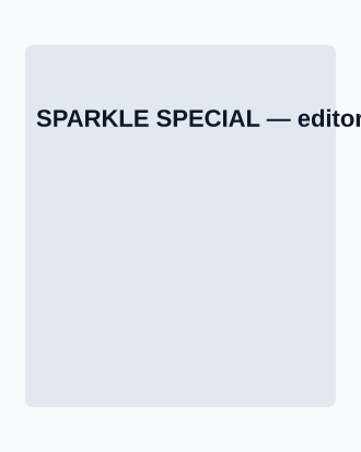 SPARKLE SPECIAL — Local Business Flyers advertising template