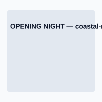 OPENING NIGHT — Local Business Flyers advertising template