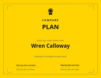 PLAN OPTIONS — Proposals & Pricing business template