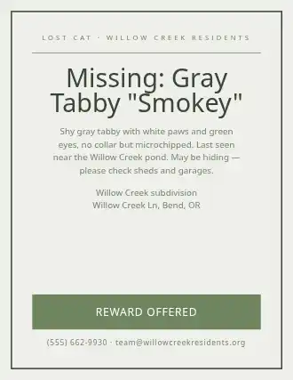 Missing: Gray Tabby "Smokey" — Lost & Found flyer template