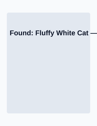 Found: Fluffy White Cat — Lost & Found flyer template