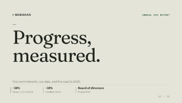 Meridian Group — Board of directors — Board of directors pitch deck template