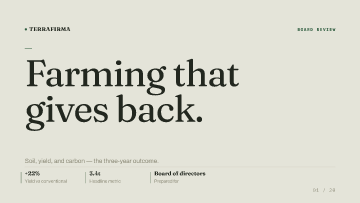 TerraFirma — Board of directors — Board of directors template