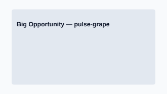 Big Opportunity — Pitch & Investor template