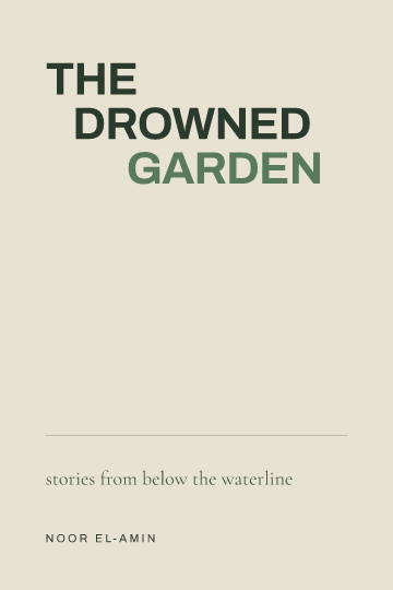 The Drowned Garden — Short Stories book cover template
