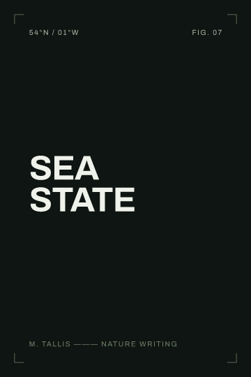 Sea State — Nature Writing template